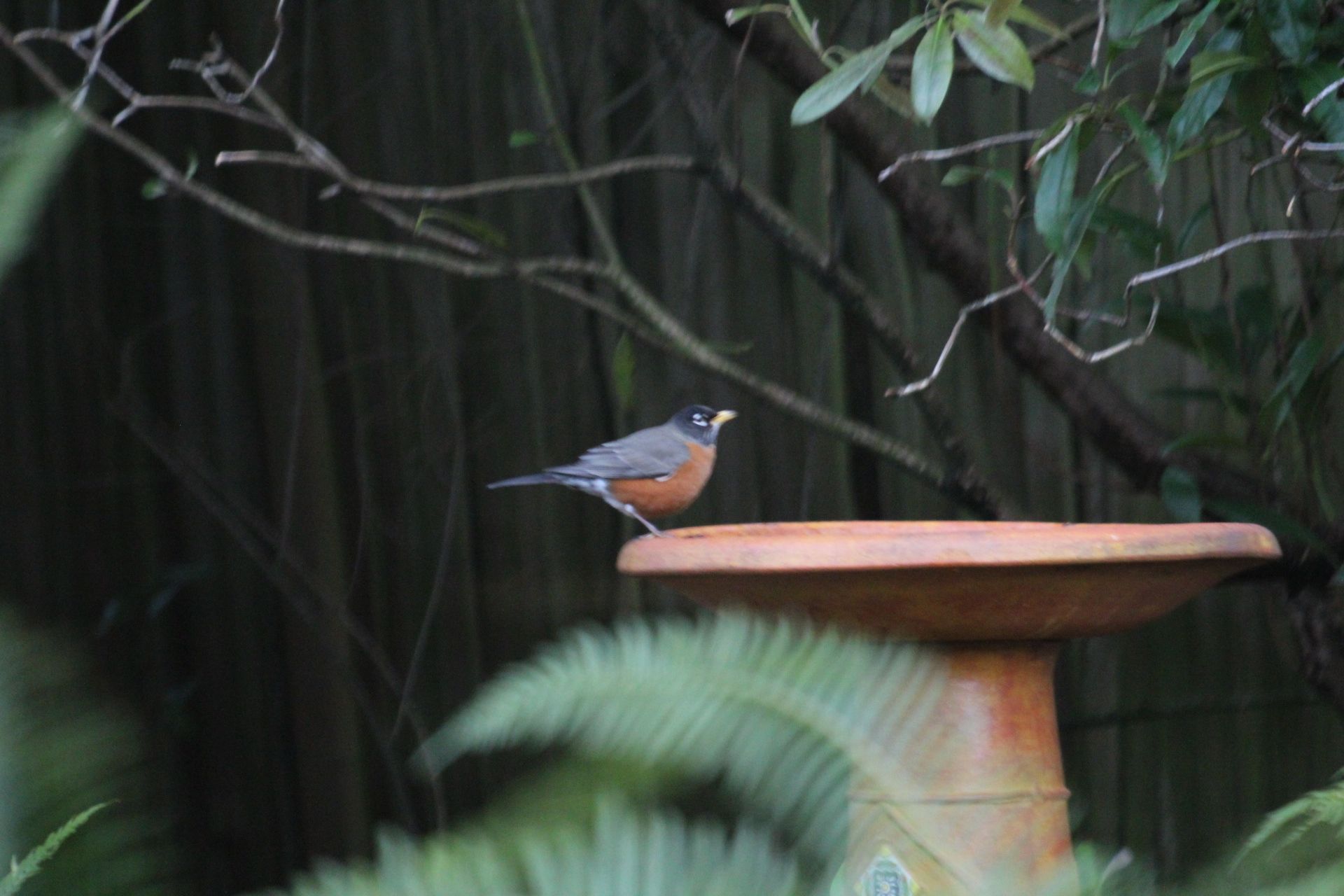 A Round of Robins